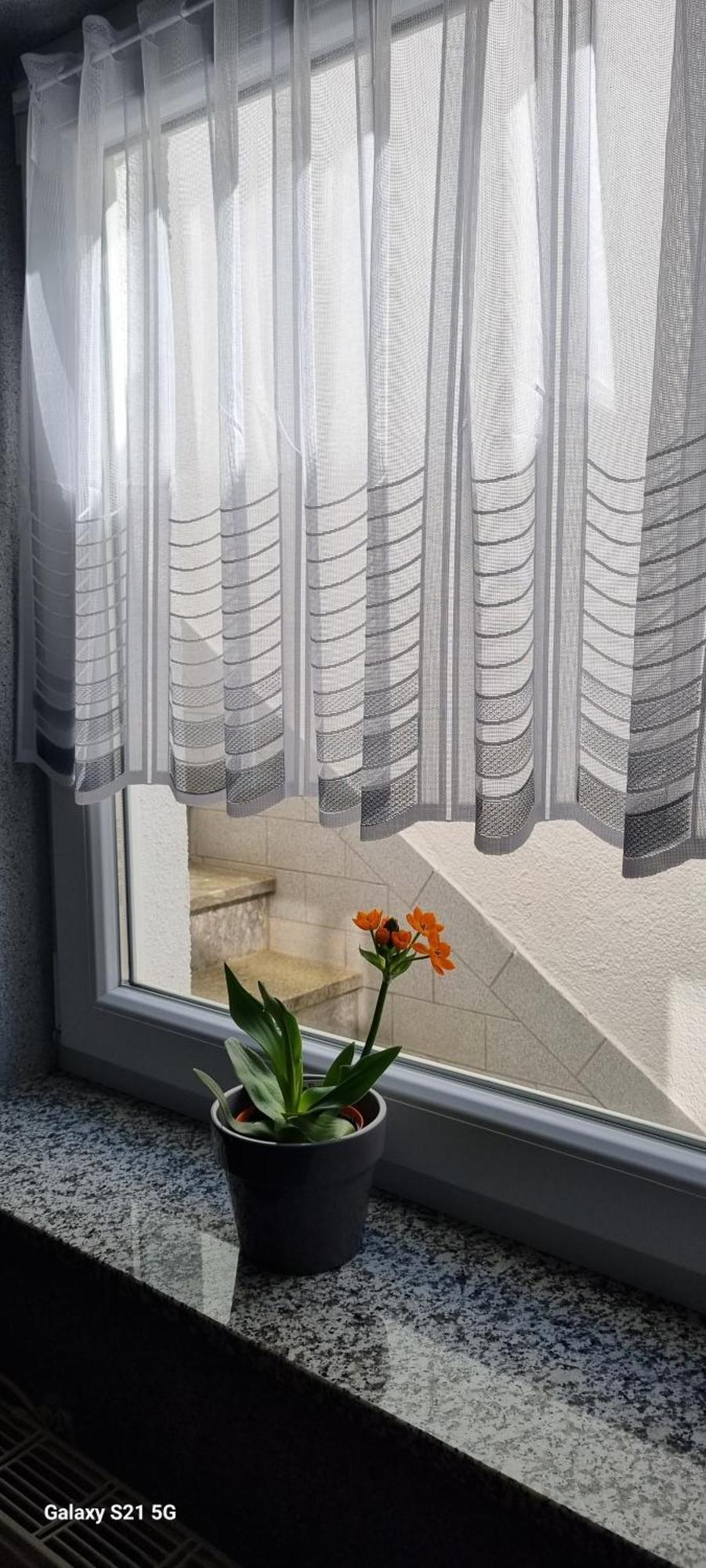 Ferienwohnung Elefanten Balingen Dış mekan fotoğraf