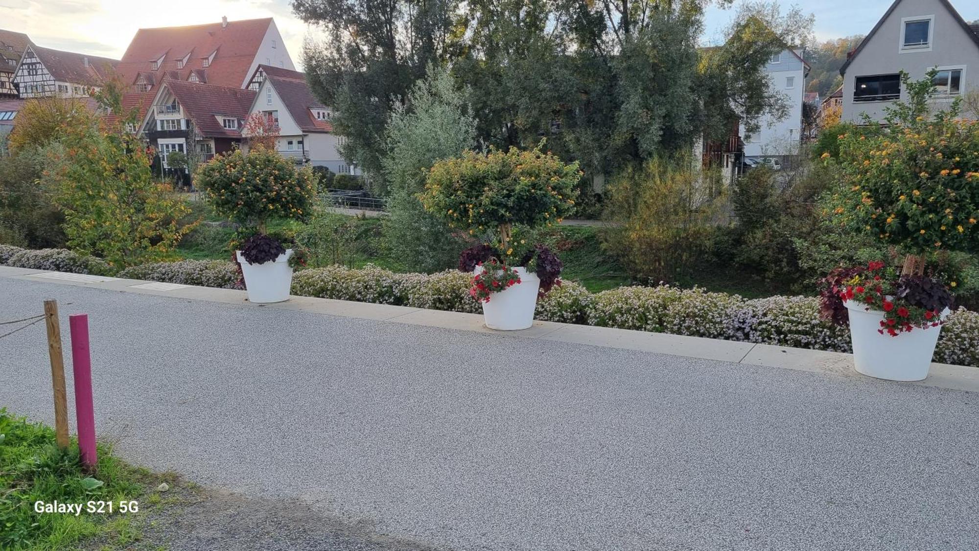 Ferienwohnung Elefanten Balingen Dış mekan fotoğraf